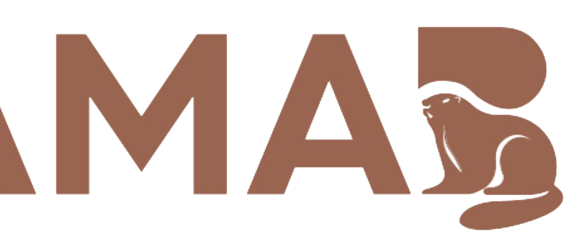 logovettorialedamabed
